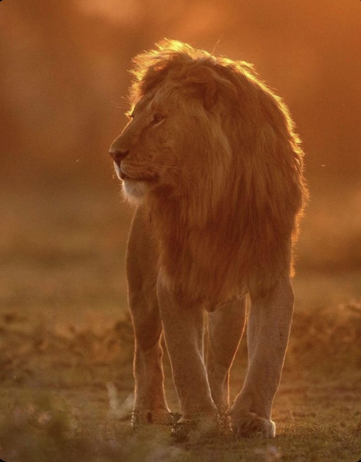 The wild — where transformation begins
