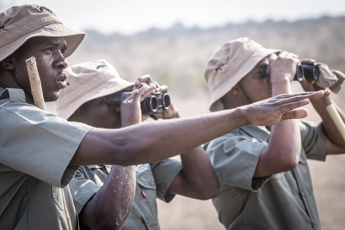Tracker Academy graduates training in the bush